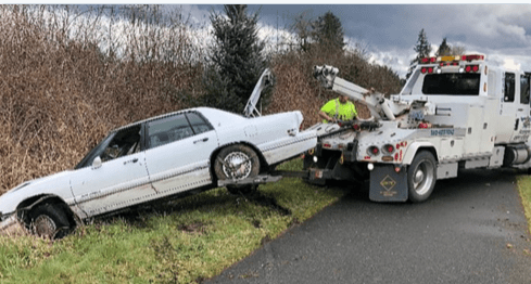 VJEROVALI ILI NE Uhićen dok je psa učio voziti auto