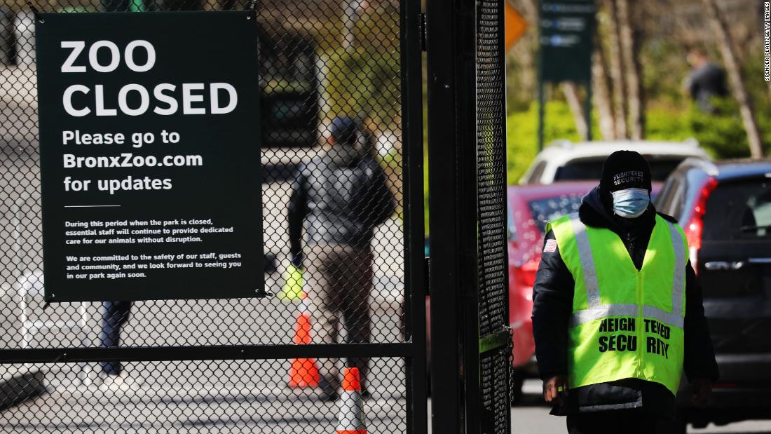 I lavovi u zoološkom vrtu u Bronxu pozitivni na koronavirus