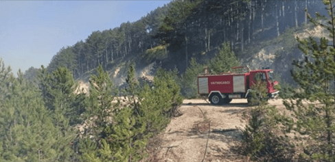 GORI 10 HEKTARA ŠUME I RASLINJA KOD MUĆA Na požarištu 88 vatrogasaca s 24 vozila