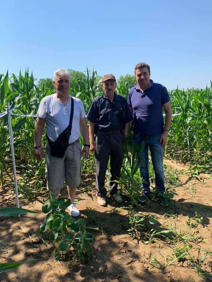 (EKSLUZIVNO) OTKRIVENA MASOVNA GROBNICA Kajkić i čovjek koji je ukopavao ubijene s Veleprometa označili masovnu grobnicu