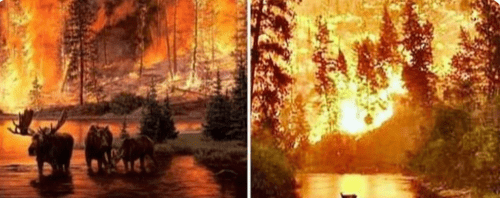 ZNANSTVENICI COPERNICUSA TVRDE: Požari u Sibiru prouzročili rekordne emisije CO2