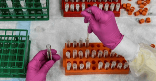 UTRKA ZA RAZVOJ CJEPIVA U FINISHU? Pfizer očekuje kraj istraživanja u danima pred američke izbore