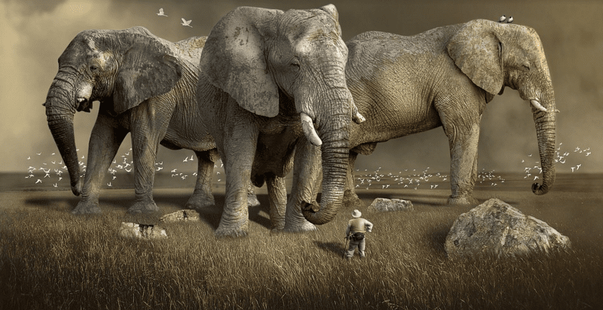 DREVNE STOPE OD PRIJE 120 TISUĆA GODINA Otkrivaju kako su ljudi napustili Afriku