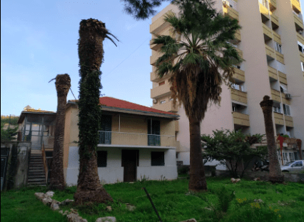 Četiri palme krenule u realizaciju