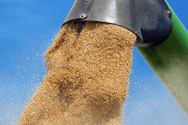 KINESKA POTRAŽNJA ŽITARICA “POREMETILA” EUROPSKO TRŽIŠTE: Unaprijed prodan ječam iz žetve slijedeće godine