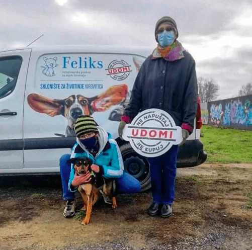 Najljepši dar – pas ili mačka iz skloništa