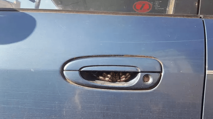 OVO JE AUSTRALIJA Htjela otvoriti auto, pa – pobjegla! Evo i zašto