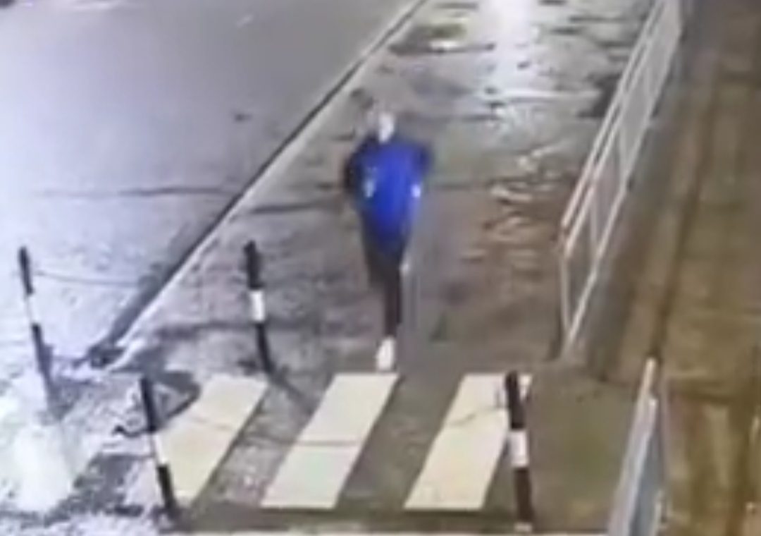 VIDEO Ograde su čovjekov najveći neprijatelj, evo i zašto