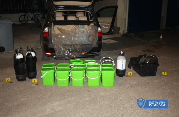 Policija ih zatekla s preko 200 kilograma morskih trpova