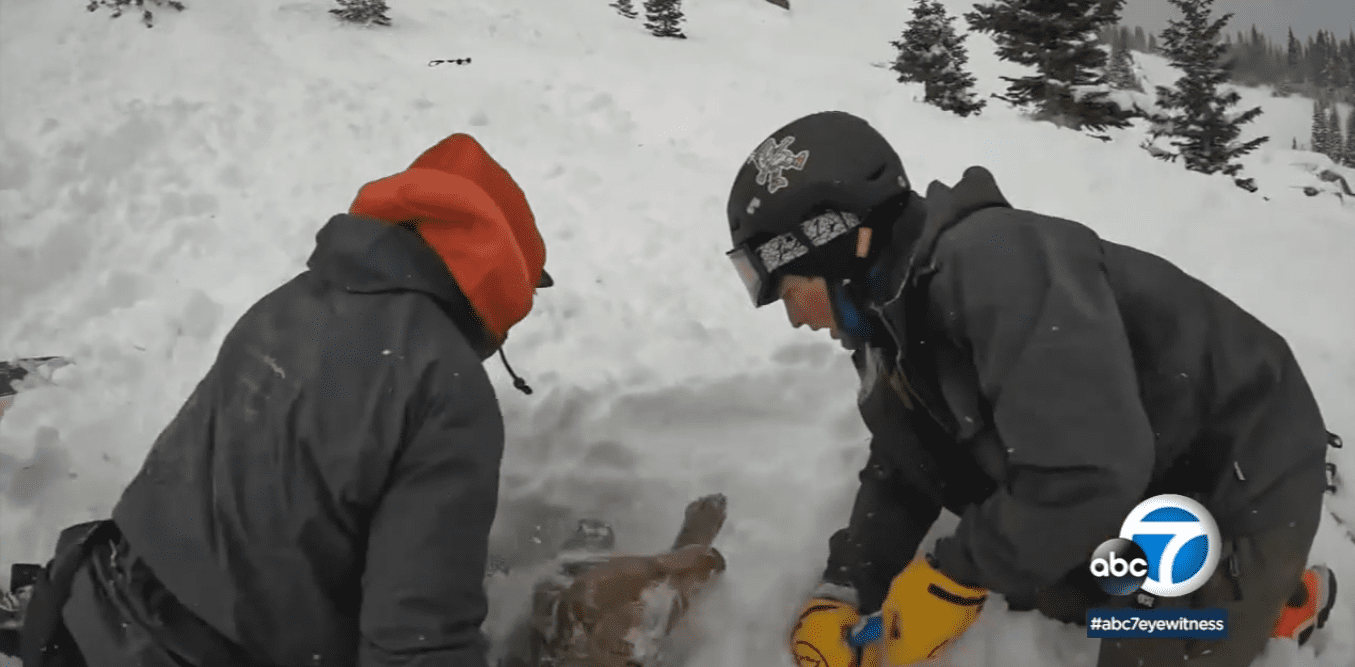 NEVJEROJATAN VIDEO Spasioci izvukli psa iz lavine, pod snijegom proveo 20 minuta!