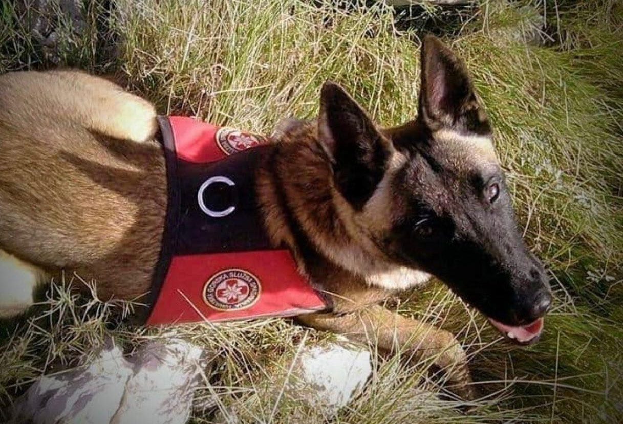 Članovi HGSS-a Dubrovnik opraštaju se od svoje belgijske ovčarke Lune