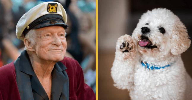 DEGUTANTNO U Playboyevoj vili čak i pas šmrkao kokain