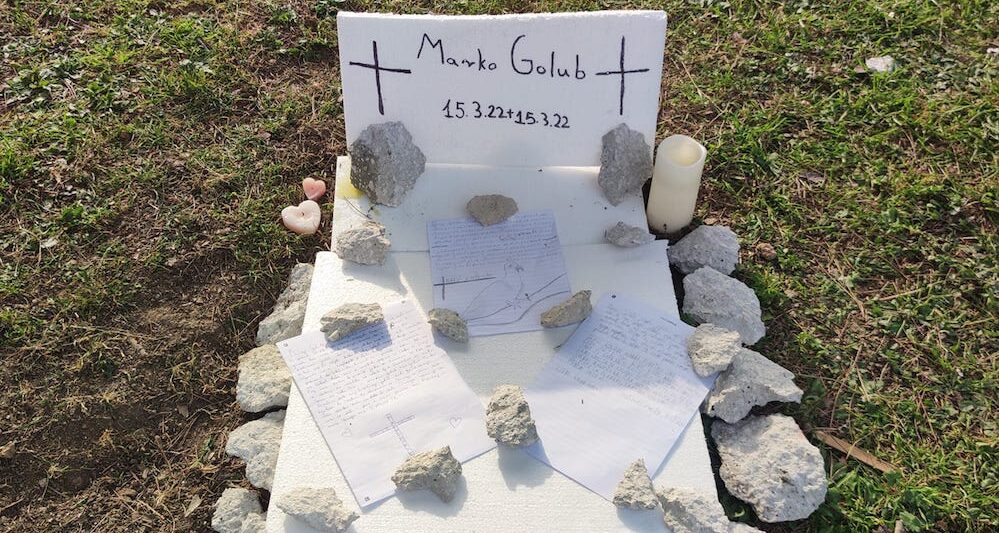 DIVNA GESTA Splitska djeca napravila grob – golubu!