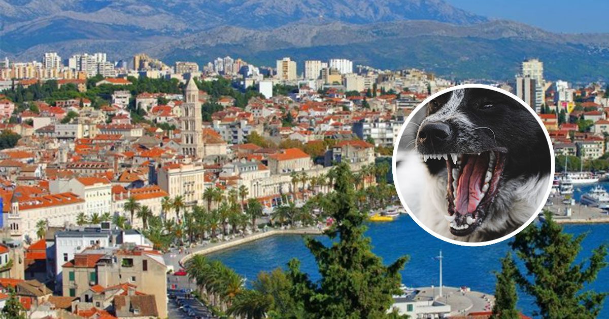 Strava u Splitu: 70-godišnjakinju izgrizla dva psa i teže ozlijedila