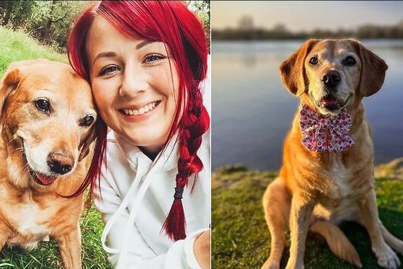 Dala otkaz kako bi svom umirućem psu uljepšala posljednje dane