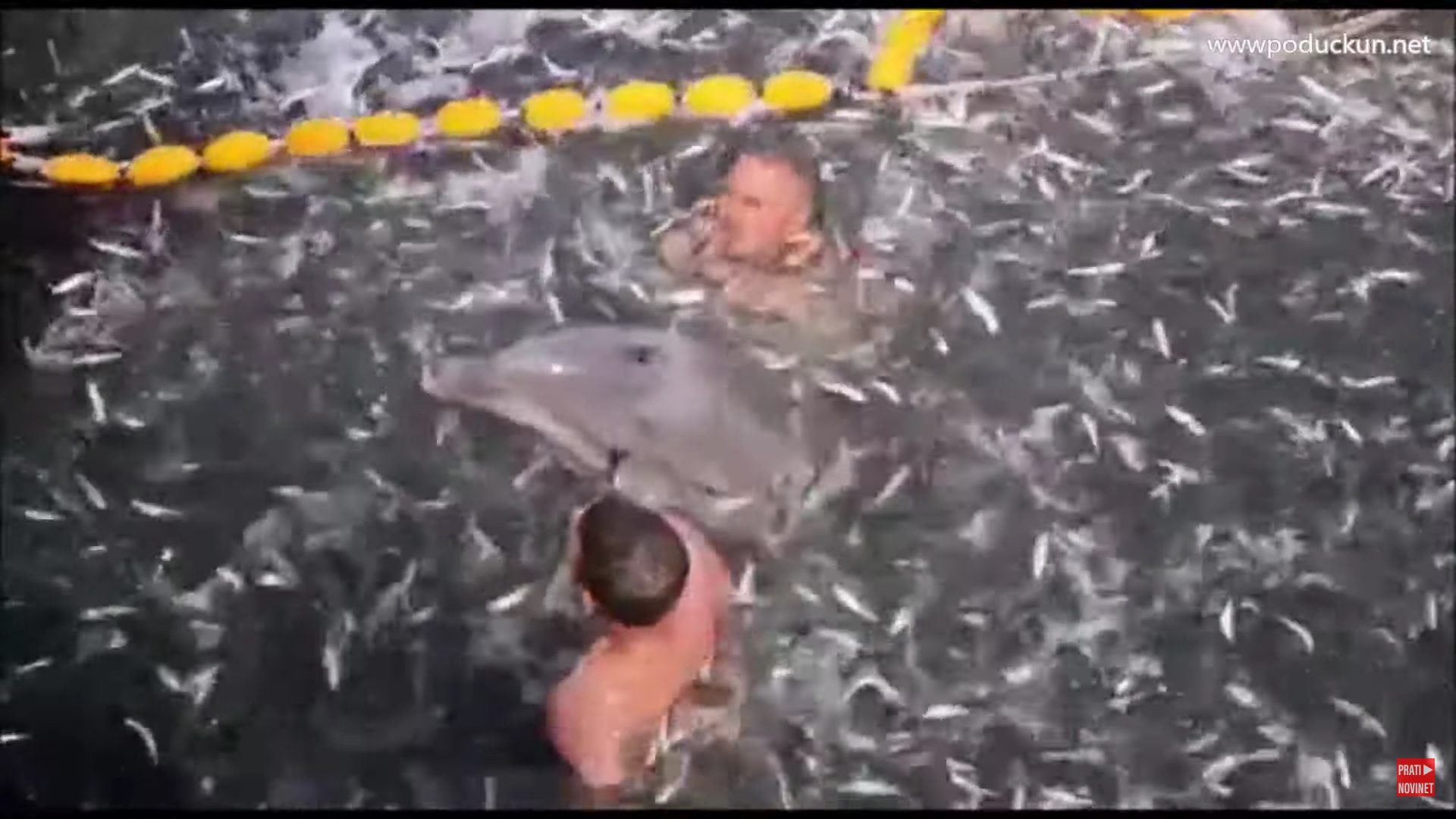 VIDEO Pogledajte kako naši ribari spašavaju dupina koji se zapleo u mrežu