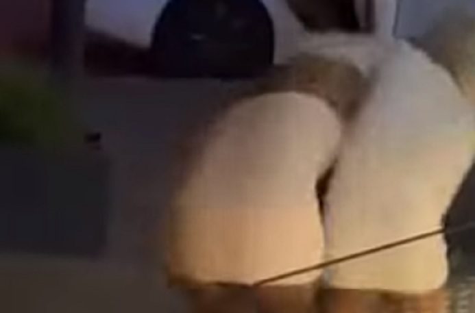 18+ VIDEO Turisti u Splitu 98. dio: Plavuše se mlatile za ulazak na brod, ispadali privatni dijelovi
