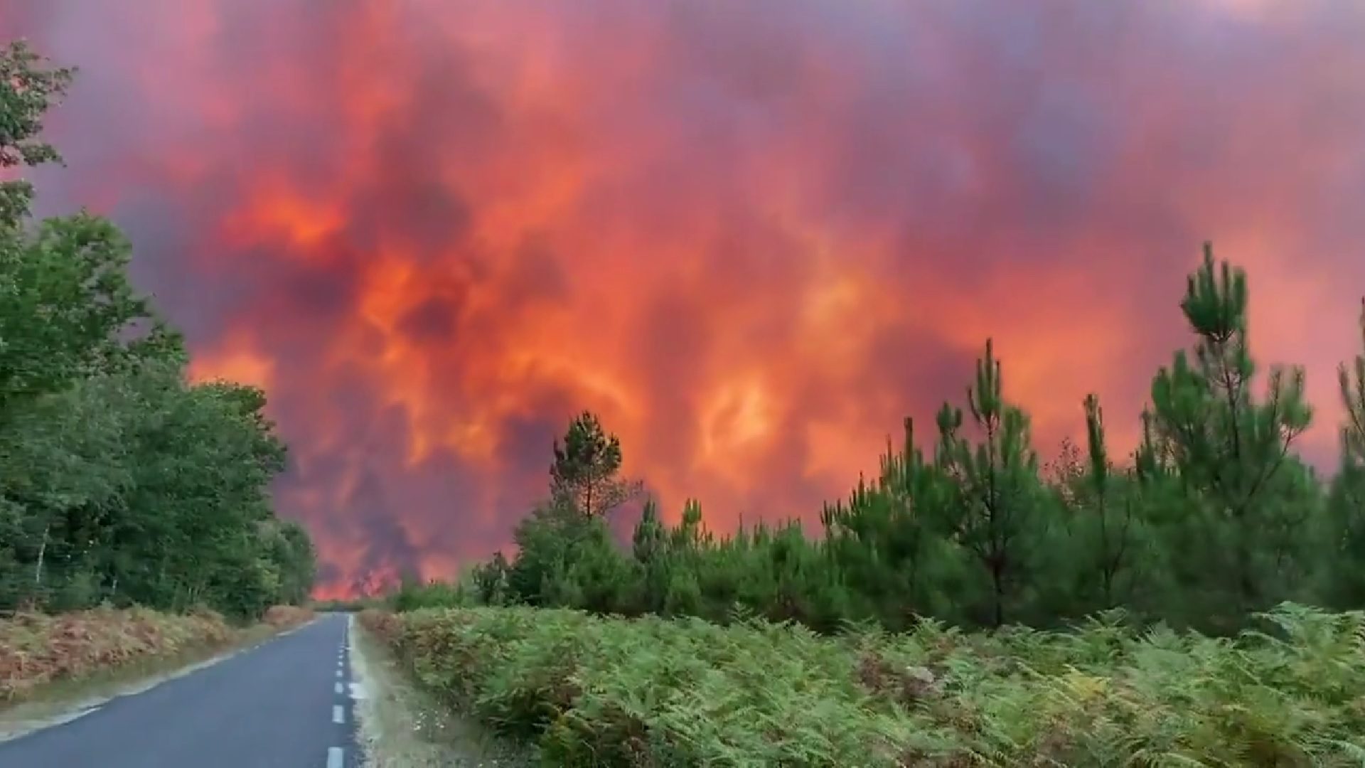 VIDEO Francuska se bori s ogromnim požarom kod Bordeauxa