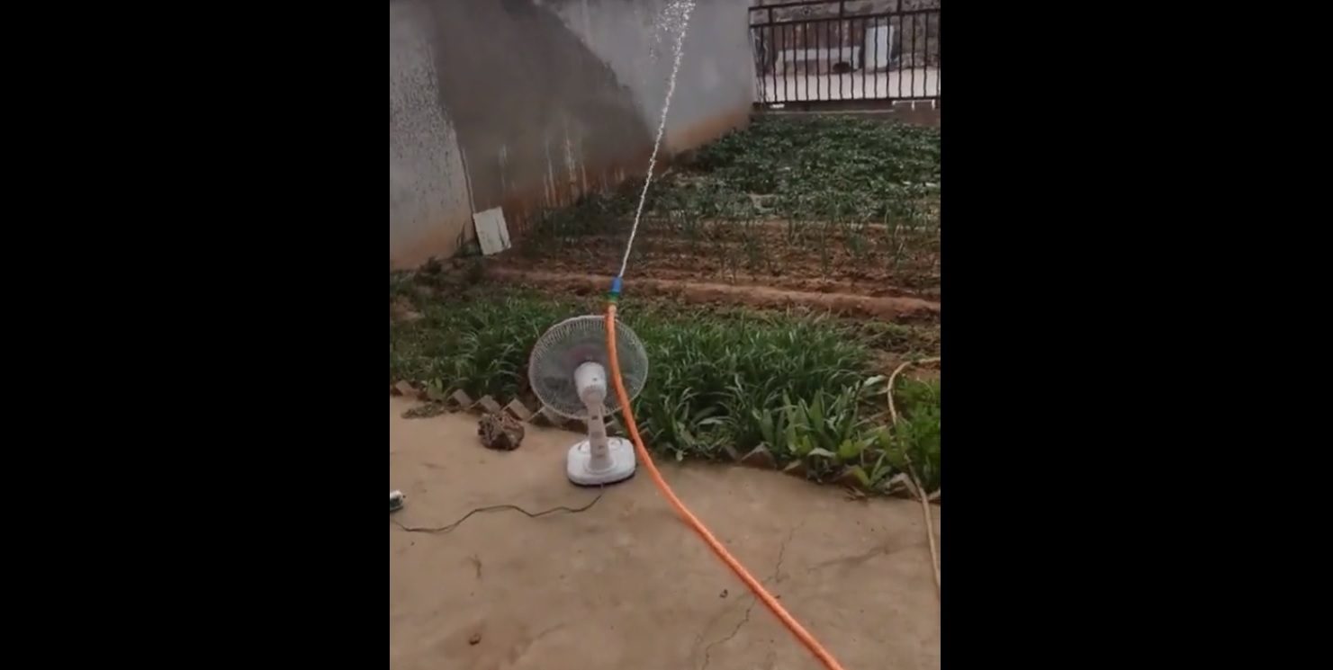 VIDEO Ovako izgleda kad koristite 200% svog mozga!