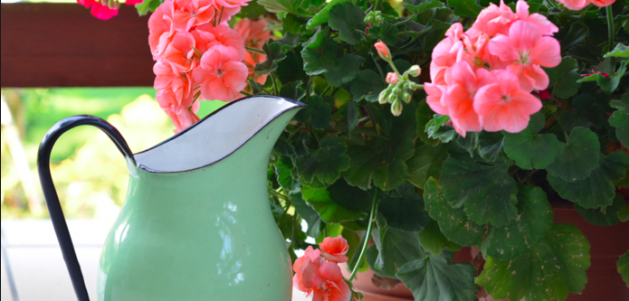 NAPUKLI VRČ Prihvatiti i cijeniti sebe baš onakvima kakvi jesmo