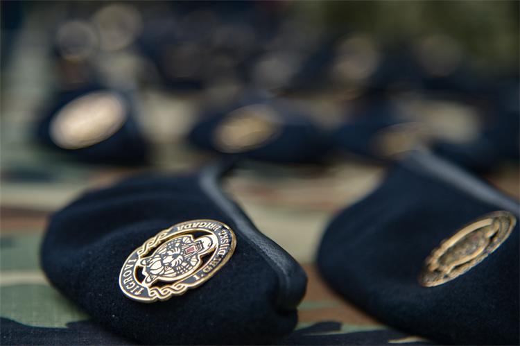 Ministar Medved uputio čestitku Tigrovima povodom 32. obljetnice ustrojavanja