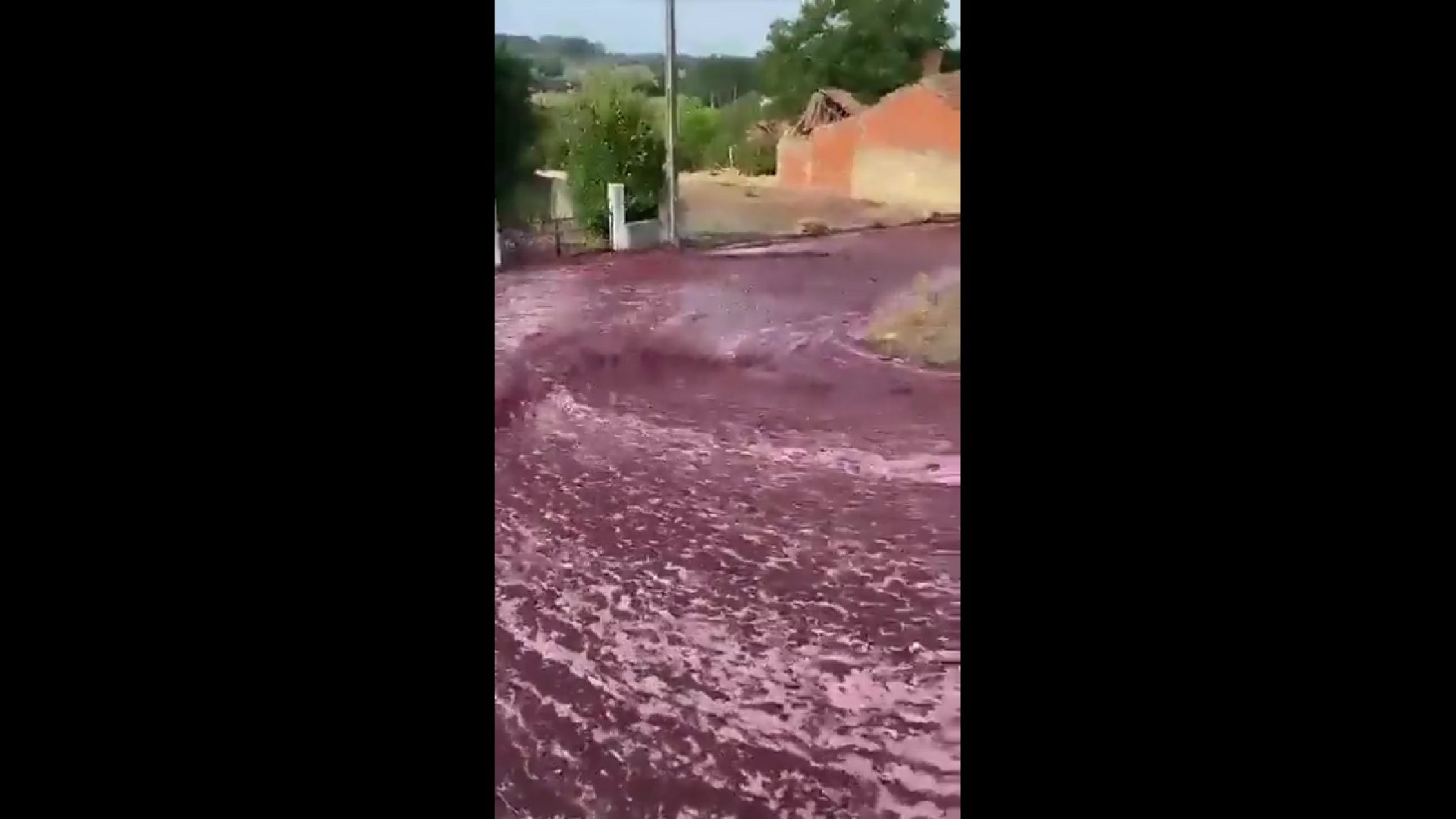 VIDEO Portugal: Pukao rezervoar u vinariji, čak dva milijuna litara vina teklo ulicama