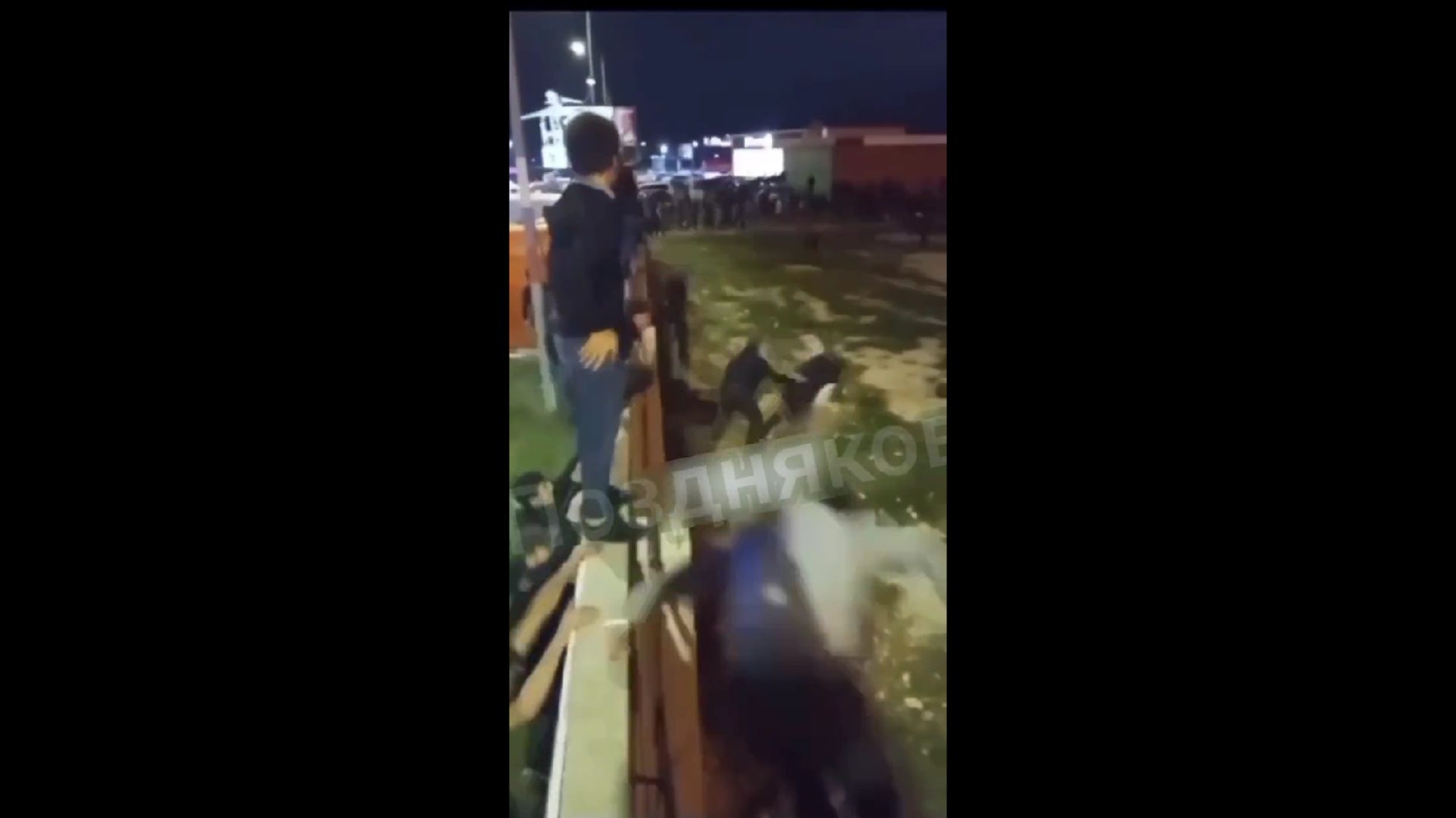 VIDEO Više tisuća muslimana u Dagestanu upali u zračnu luku, tražili židove koji su sletjeli iz Tel Aviva