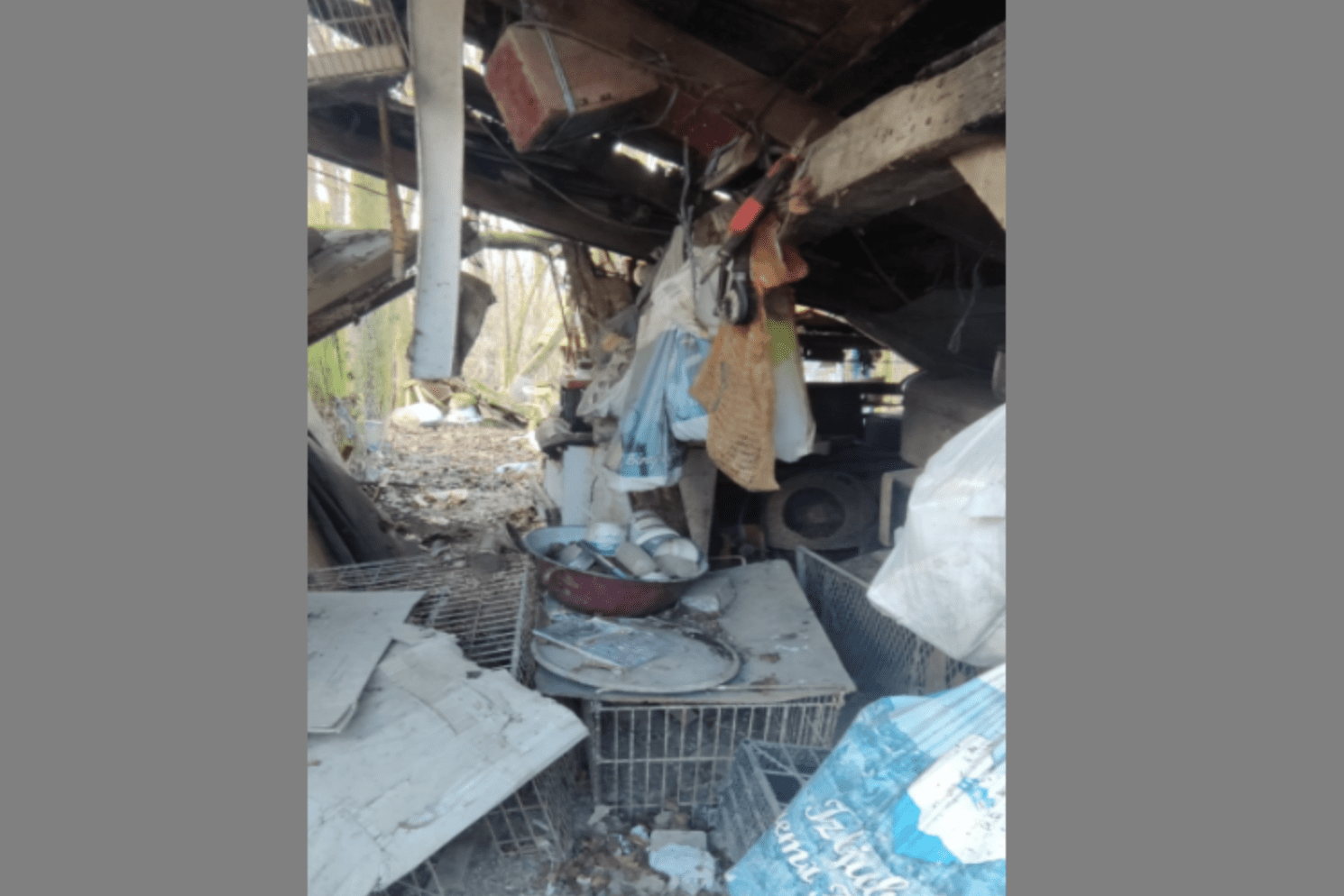 Na zapuštenom gospodarskom imanju životinje bile izložene patnji