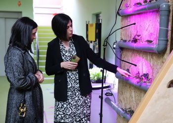 Hidroponski vrt u Dječjem vrtiću „Bajka“ u Strizivojni