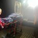 Litva: Bivši pomoćnik Alekseja Navaljnog ispred kuće napadnut čekićem i poprskan suzavcem