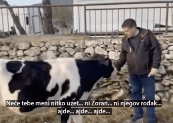 (VIDEO) BOŽE DRAGI TKO VODI OVU DRŽAVU Butković poručio Milanoviću da mu ne da svoju kravu