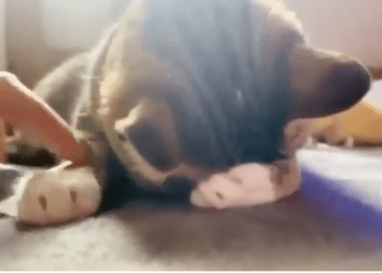 Tko joj je slomio srce?