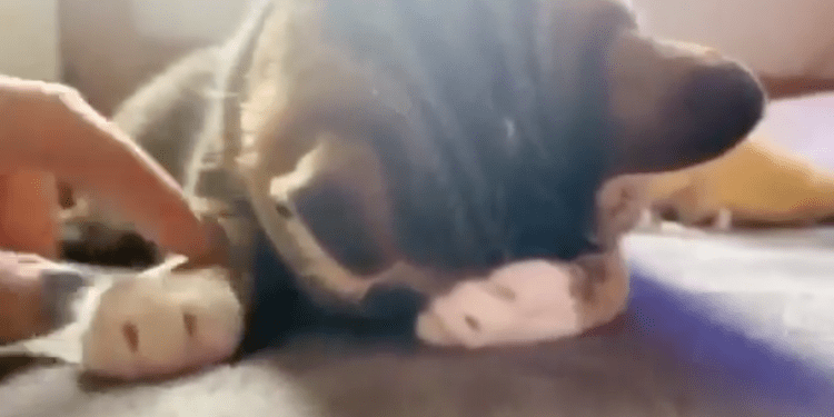 Tko joj je slomio srce?