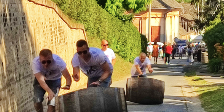 FIRST CALL – Vinatlon 2024., vinski spektakl u Osječko-baranjskoj županiji