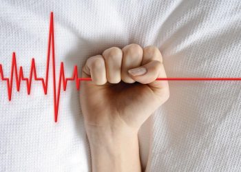 Slovenci izalšli na izbore za EU parlament I REFERENDUM O LEGALIZACIJI EUTANAZIJE