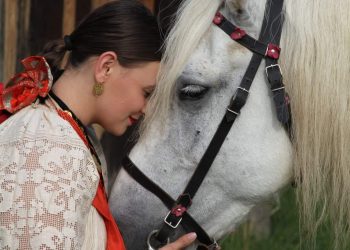 28. DRŽAVNA KONJOGOJSKA IZLOŽBA U SUNJI Upoznajte autohtone hrvatske pasmine  posavac, hladnokrvnjak, lipicanac i međimurski konj