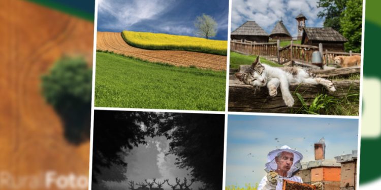 OTVOREN IZBOR ZA NAJBOLJE RURALNE FOTOGRAFIJE U 2024. GODINI Nominiraj svoju