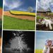 OTVOREN IZBOR ZA NAJBOLJE RURALNE FOTOGRAFIJE U 2024. GODINI Nominiraj svoju