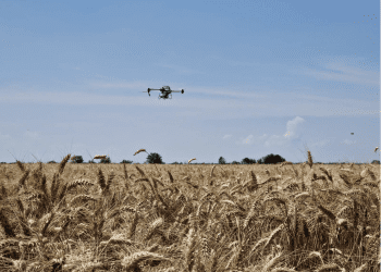 PRVO DIGITALNO SELO U HRVATSKOJ U Strizivojni obavljena sjetva dronovima