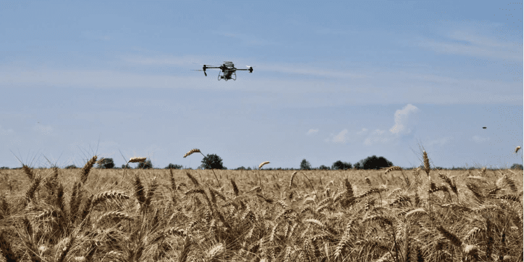 PRVO DIGITALNO SELO U HRVATSKOJ U Strizivojni obavljena sjetva dronovima