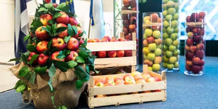 JAVNI POZIV ZA KORIŠTENJE  SKLADIŠNO-USLUŽNIH KAPACITETA RDC OBŽ Na čuvanju gotovo tri tisuće tona voća i povrća