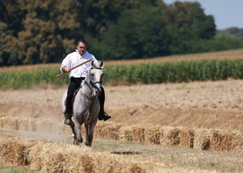 UZBUDLJIVA UTRKA KONJANIKA Šokačka alka u Đakovačkim Selcima
