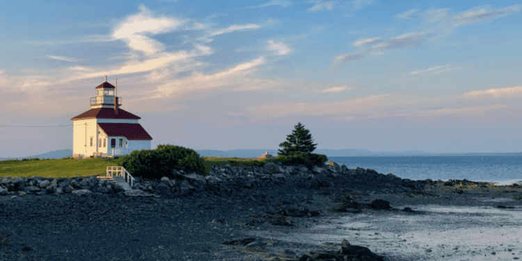 Iz pera hagiasistenta – “Očekuj da te Stvoritelj potraži na klupi ili na plaži, u tvojoj kuhinji ili čak u kafiću, u osami tvoje sobe ili kapelice ili pak u zajedništvu s drugim ljudima…kako bi ti rekao: “Bok, tu sam! Blizu sam…”