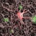 Britanski regulator odobrava lekanemab, prvi lijek koji usporava Alzheimerovu bolest