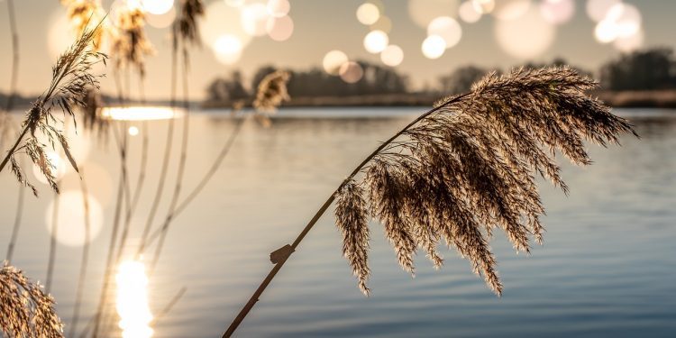 Uz Dravu kod Legrada pronađeno tijelo nepoznate osobe