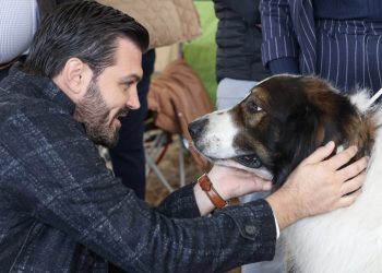 SLAVONIJA DOG SHOW PONOVNO U OSIJEKU Preko 1500 natjecateljskih pasa, 150 pasmina