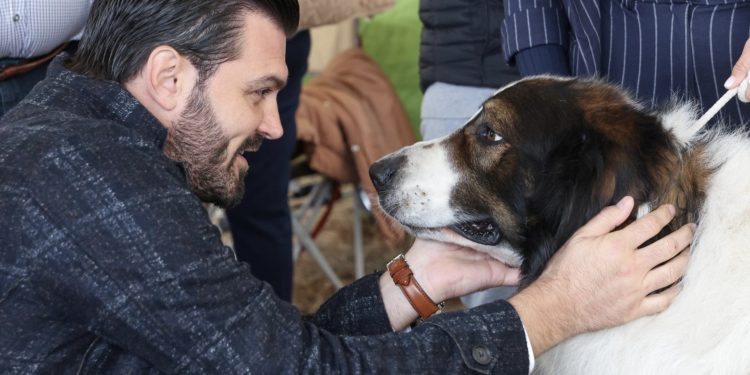 SLAVONIJA DOG SHOW PONOVNO U OSIJEKU Preko 1500 natjecateljskih pasa, 150 pasmina
