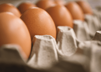 POVLAČE SE JAJA IZ TRGOVAČKOG CENTRA LIDL Pronađen opasan soj salmonele