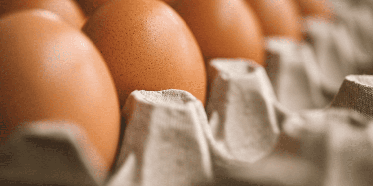 POVLAČE SE JAJA IZ TRGOVAČKOG CENTRA LIDL Pronađen opasan soj salmonele