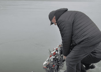 Umjesto Pupovca u Dunav vijenac pustili predstavnici udruge VeDra
